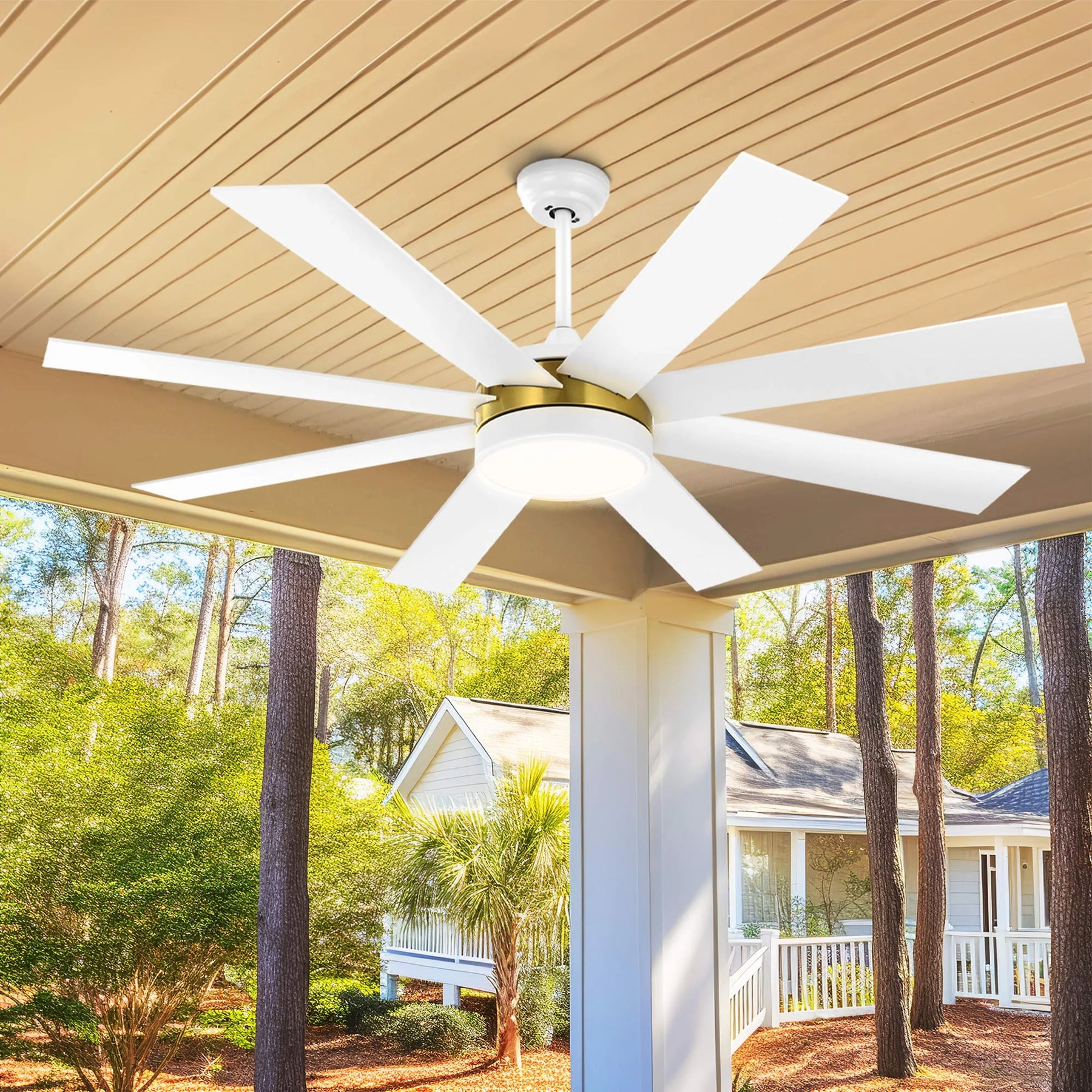 Dextrus 60 in Modern LED Outdoor/ Indoor Ceiling Fan with Remote Control