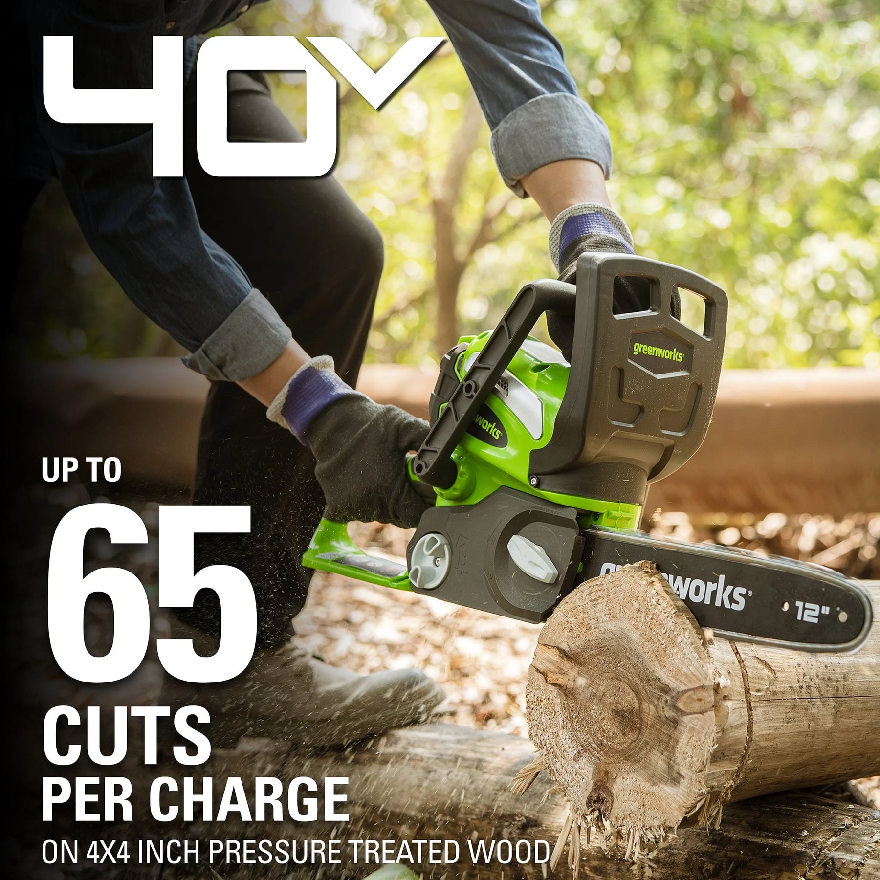 Greenworks 40V 12" Cordless Chainsaw with 2.0 Ah Battery & Charger, 20262