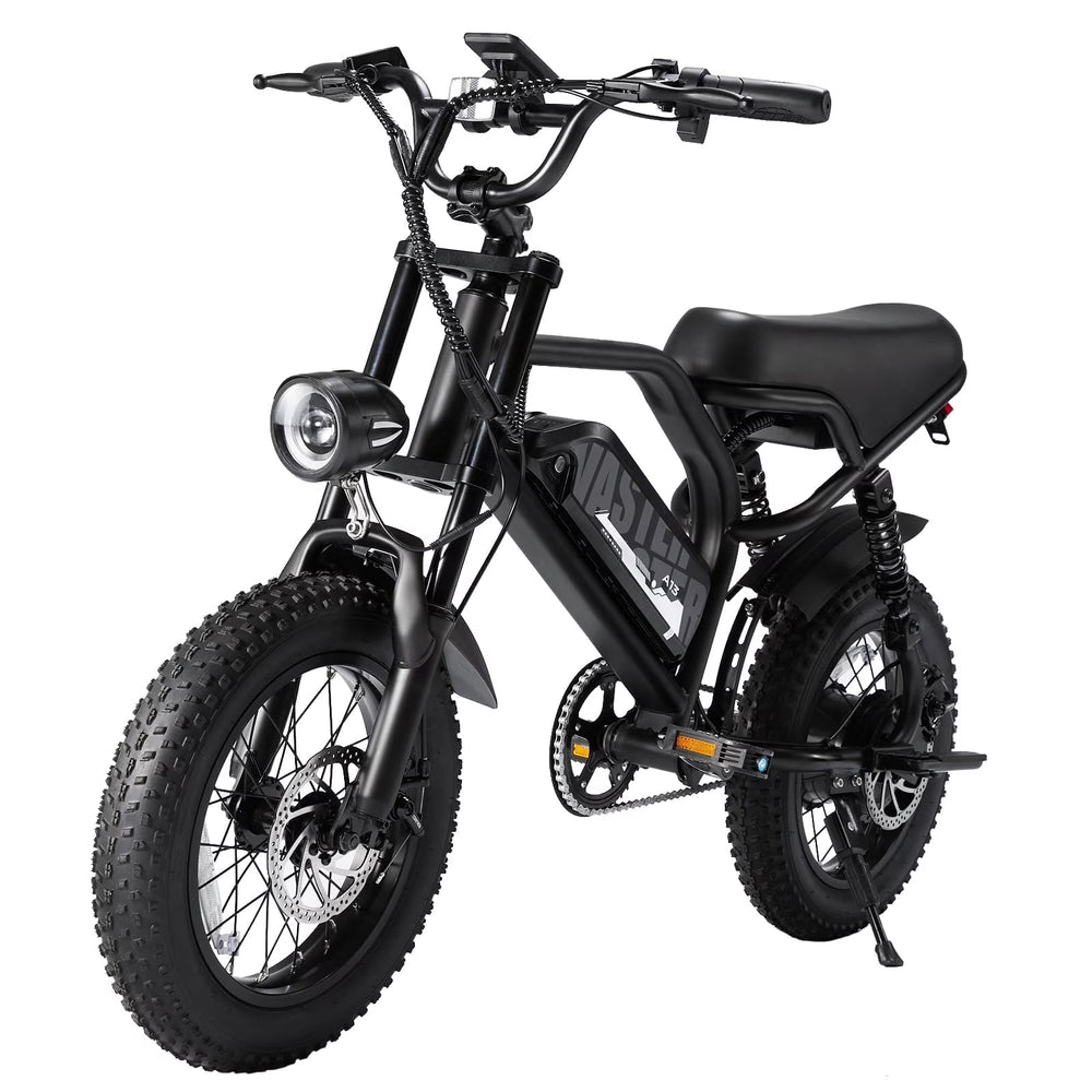 AVDL Electric Bike, 16" Fat Tire Ebike, 500W Motor, 48V 12ah Removable Battery, 4x Suspension, 38 Miles Pure Electric, 55 Miles Pedal